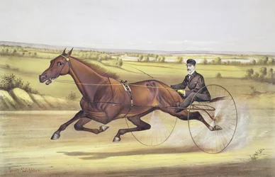 Die Königin der Rennbahn, 